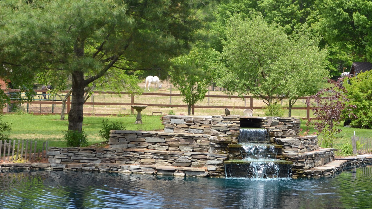 Photo of Outdoor in Caroline