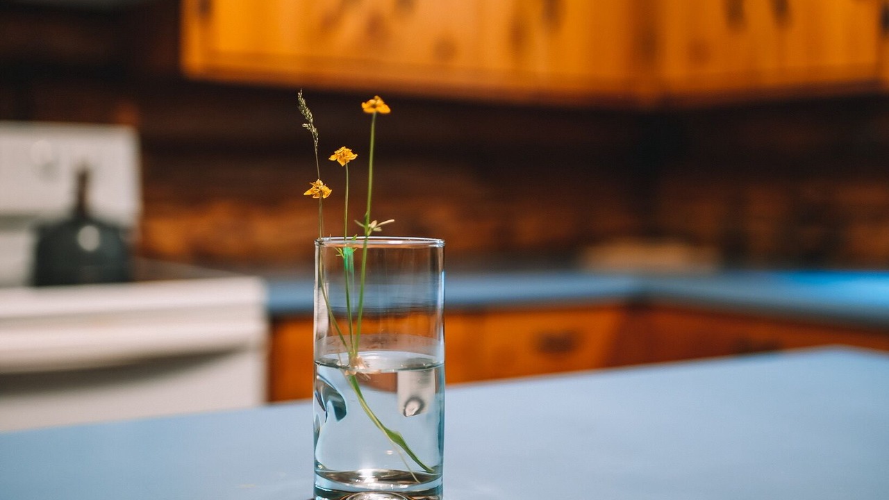 Photo of Others in Afton