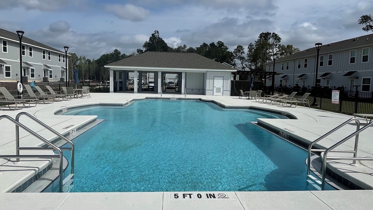 Photo of Outdoor in Pine Forest