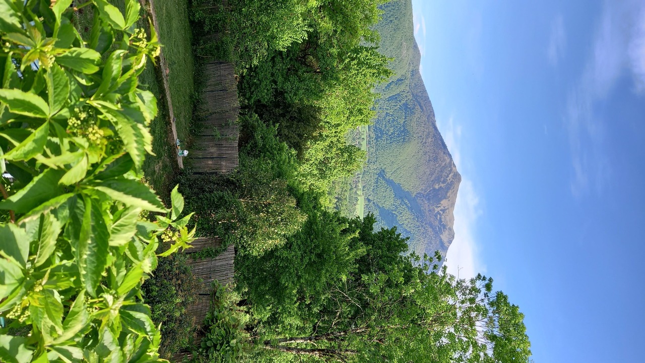 Photo of Outdoor in Arbon