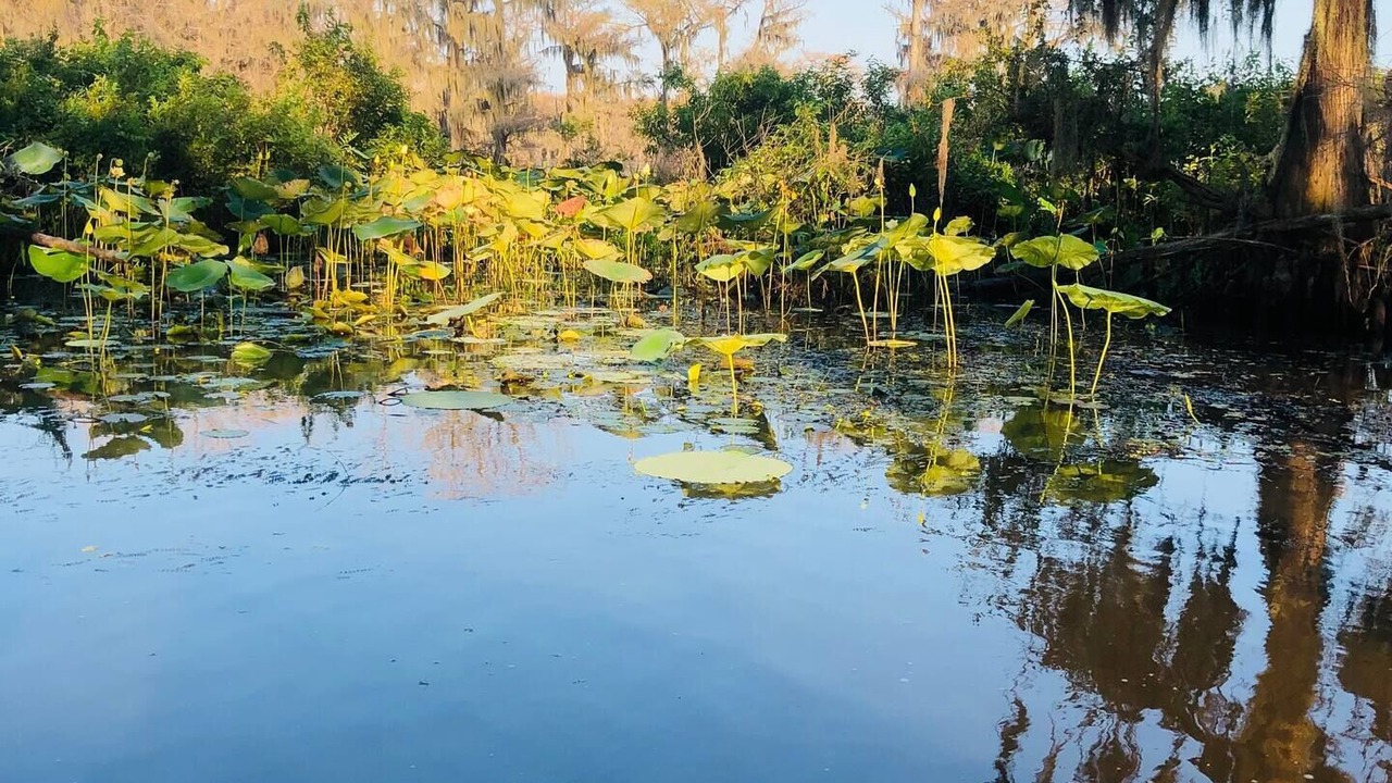 Photo of Outdoor in Oil City