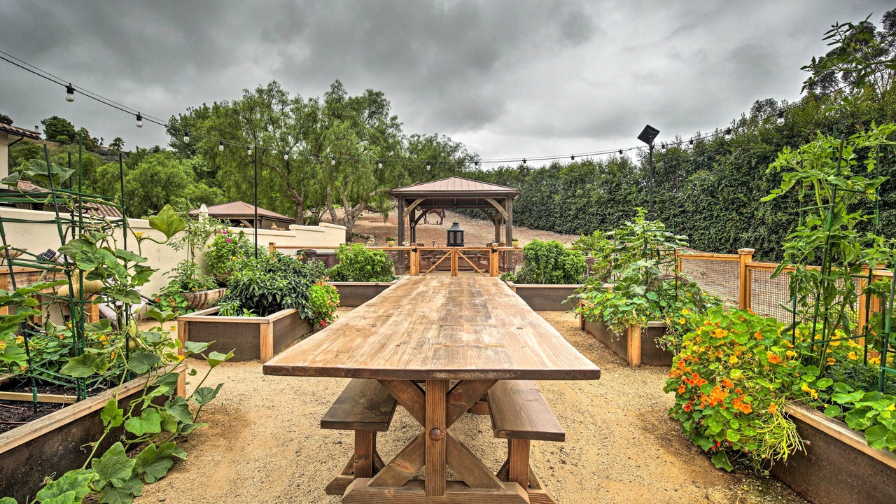 Photo of Outdoor in Escondido