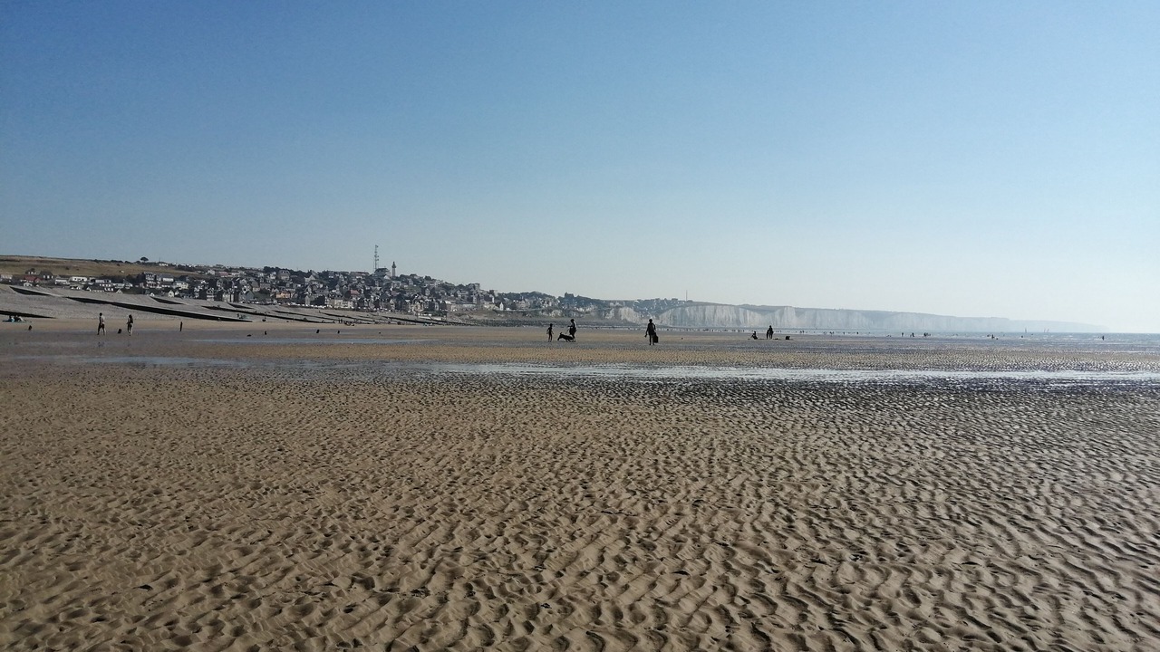 Photo of Others in Friville-Escarbotin