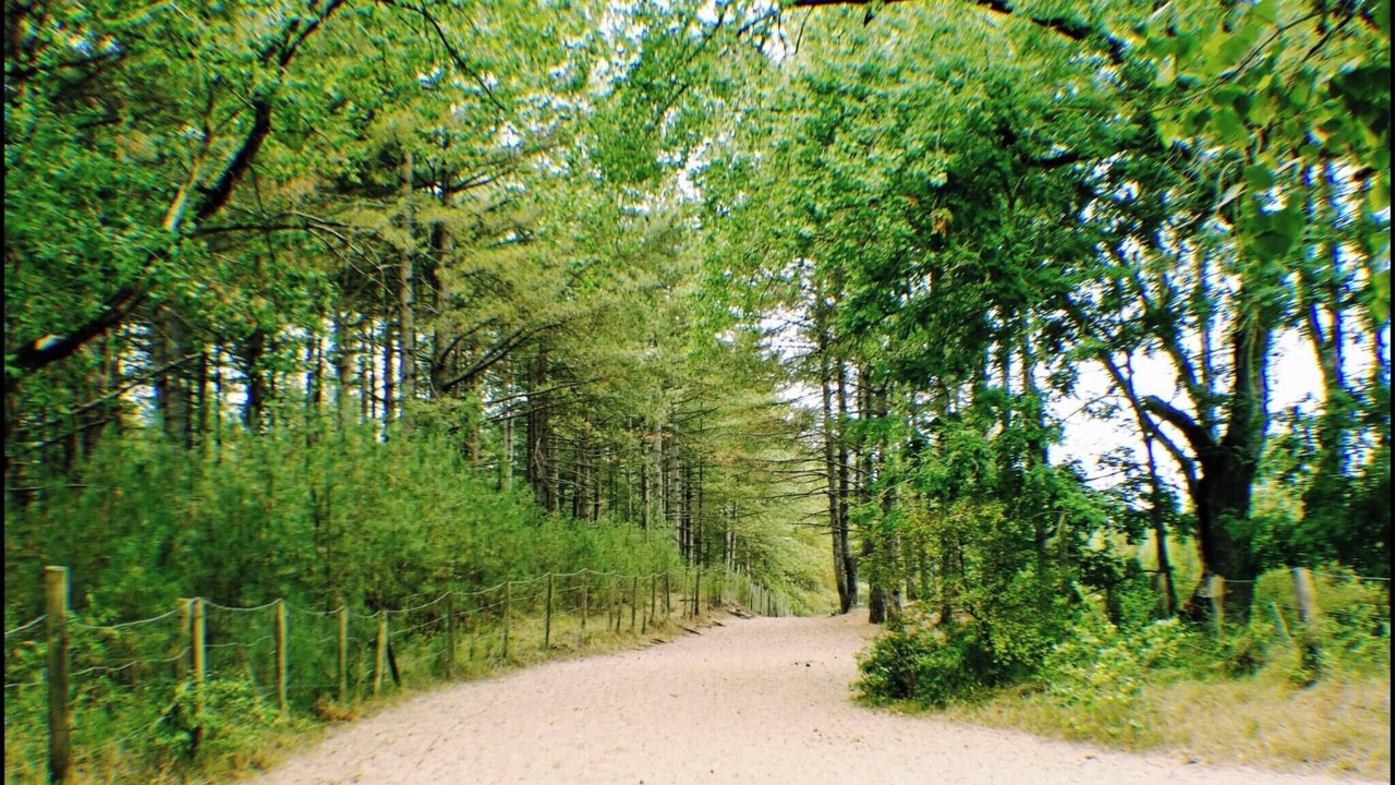 Photo of Outdoor in Friville-Escarbotin