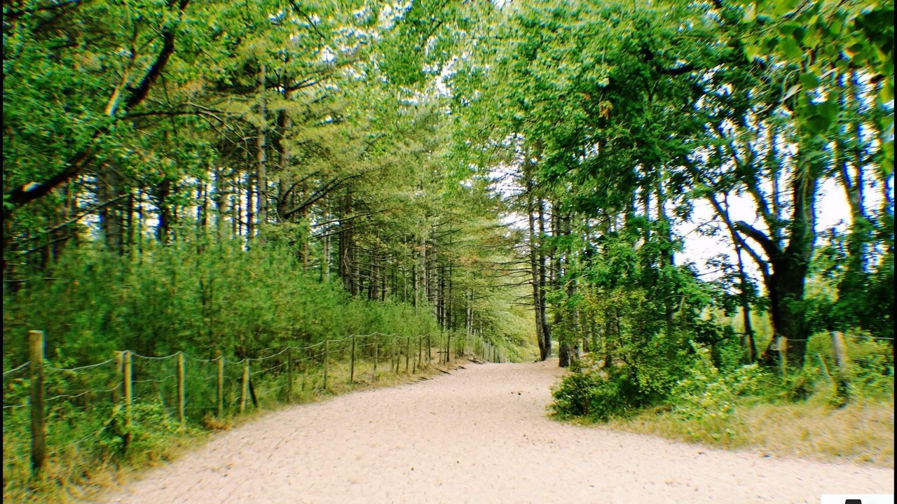 Photo of Outdoor in Friville-Escarbotin