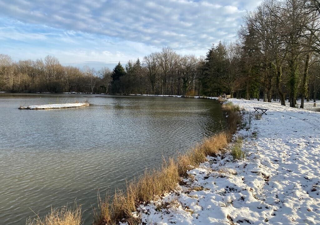 Photo of Outdoor in La Ferte-Saint-Aubin