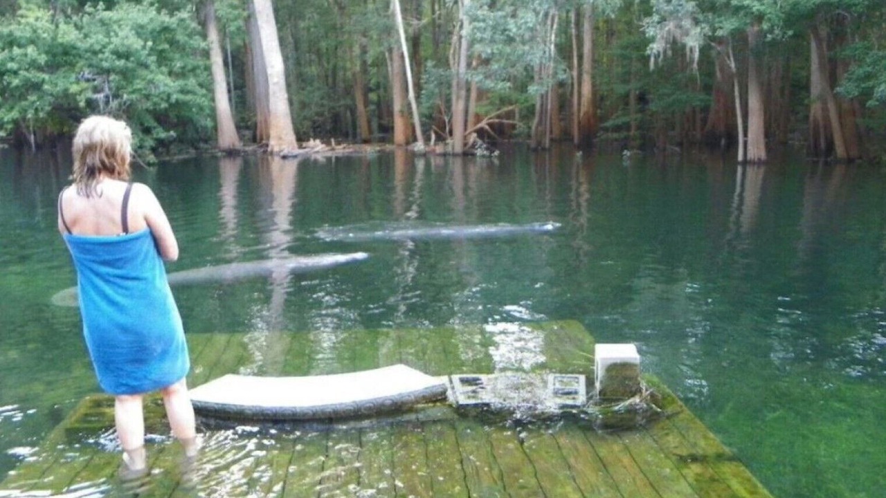 Photo of Outdoor in Fort White