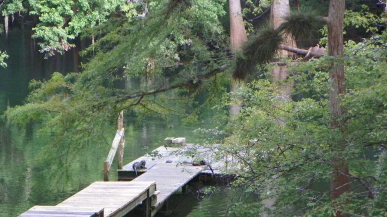 Photo of Outdoor in Fort White