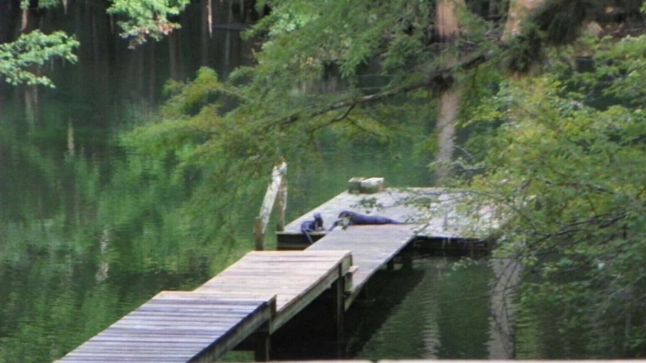 Photo of Others in Fort White