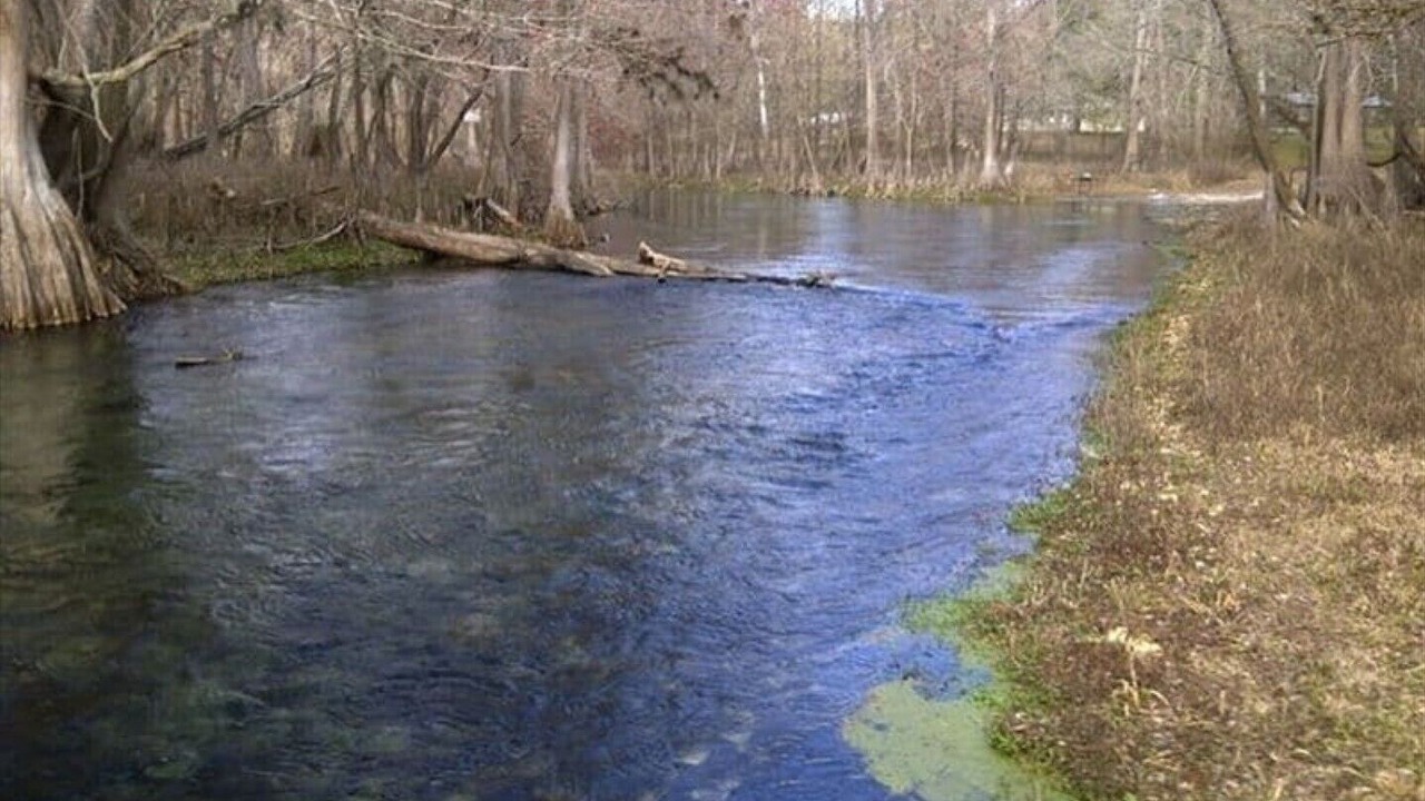 Photo of Others in Fort White