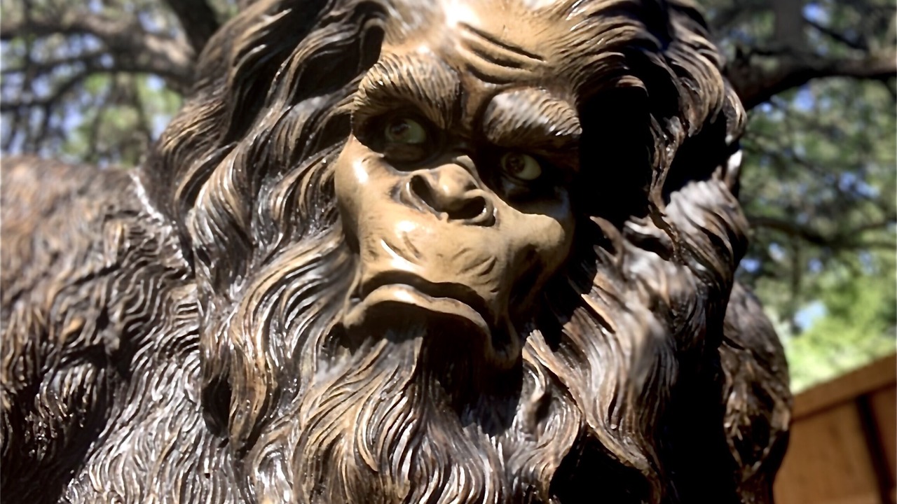 Photo of Others in Gold Hill