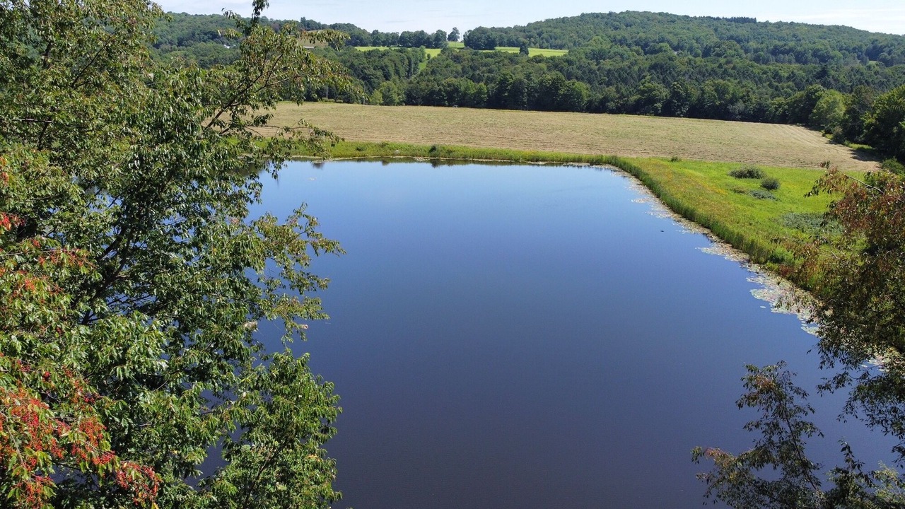 Photo of Outdoor in Town of Delaware