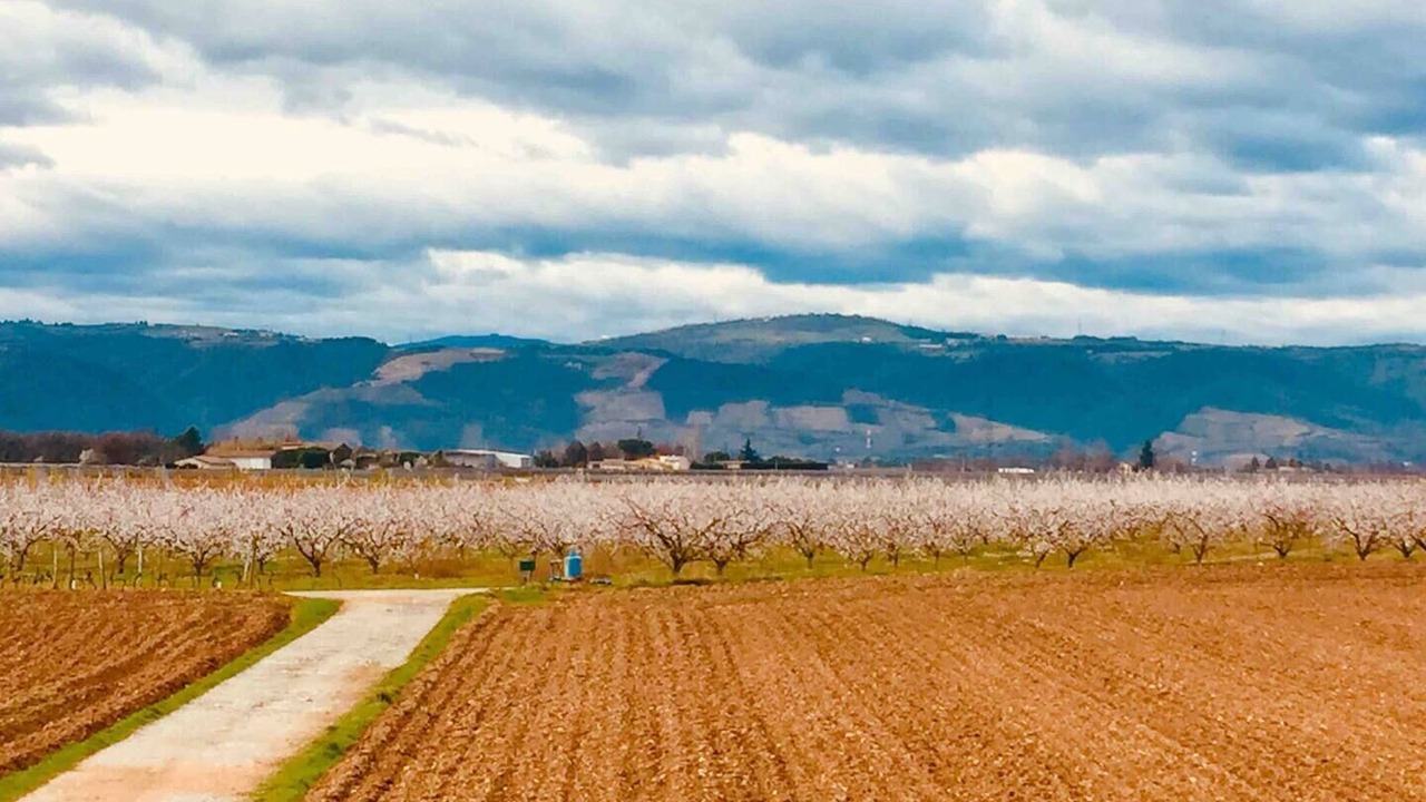 Photo of Others in Mercurol