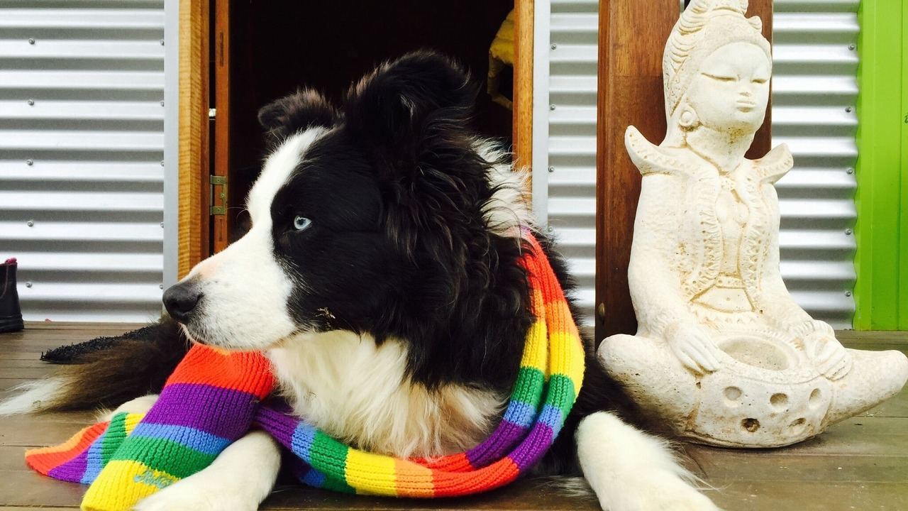 Photo of Others in Hunchy