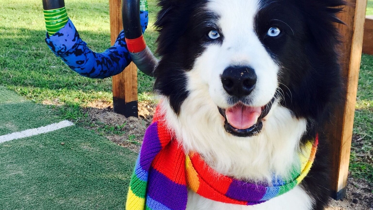 Photo of Others in Hunchy