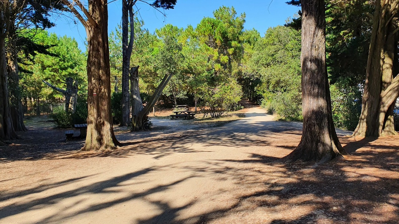 Photo of Outdoor in Notre-Dame-de-Monts