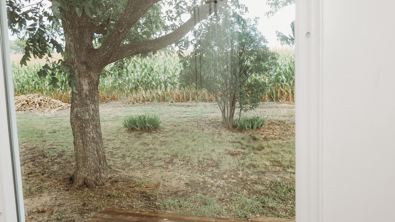 Photo of Others in Manor