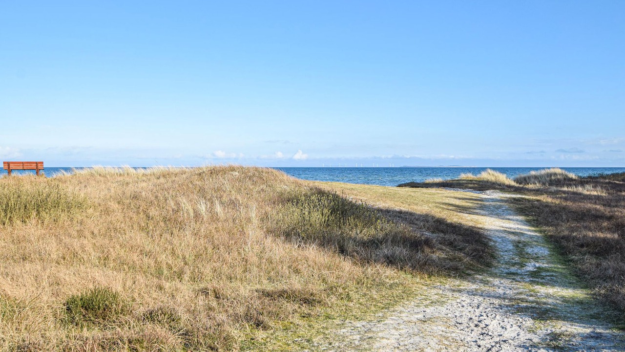 Photo of Others in Saksild Strand
