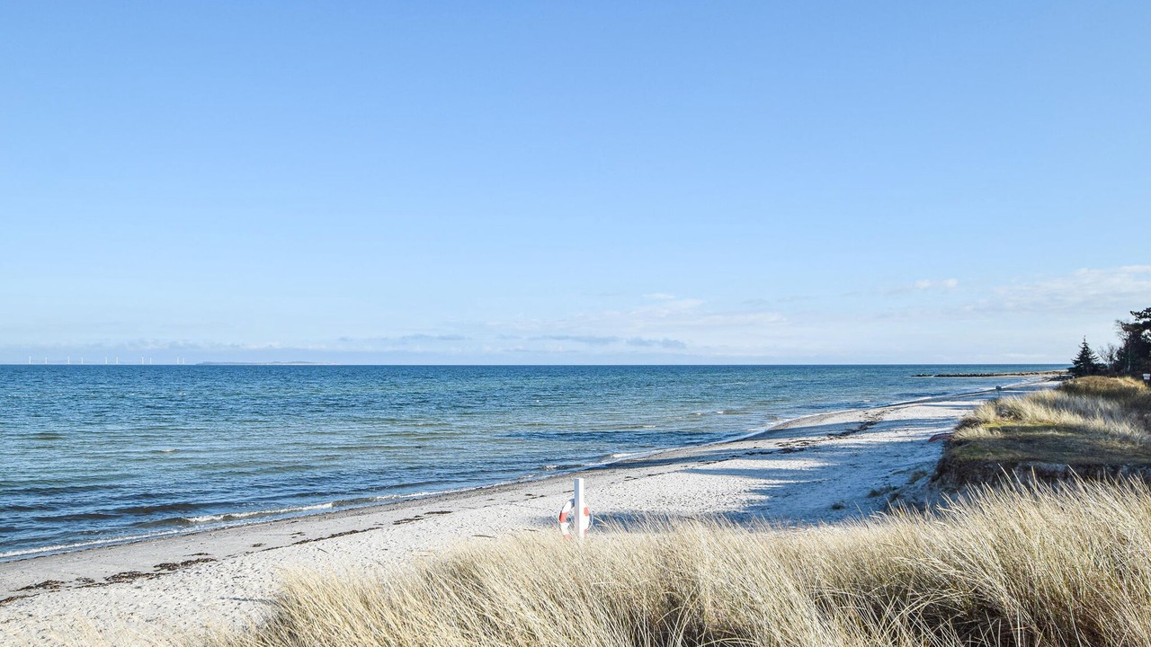 Photo of Others in Saksild Strand