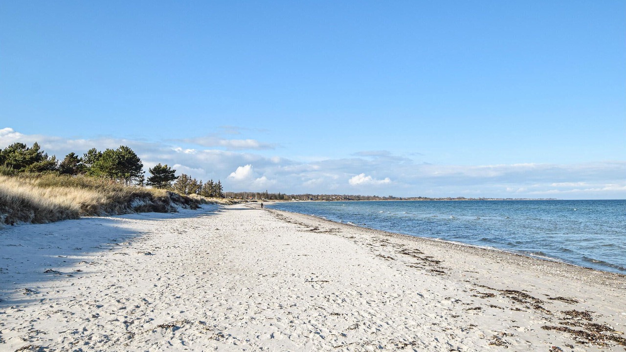 Photo of Others in Saksild Strand