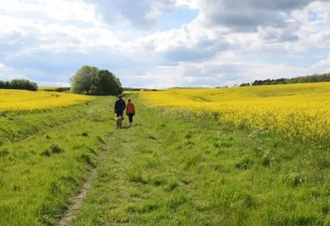 Photo of Others in Littlebourne