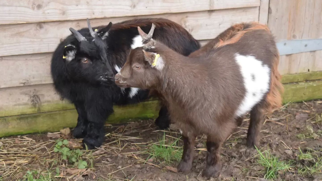 Photo of Outdoor in Littlebourne