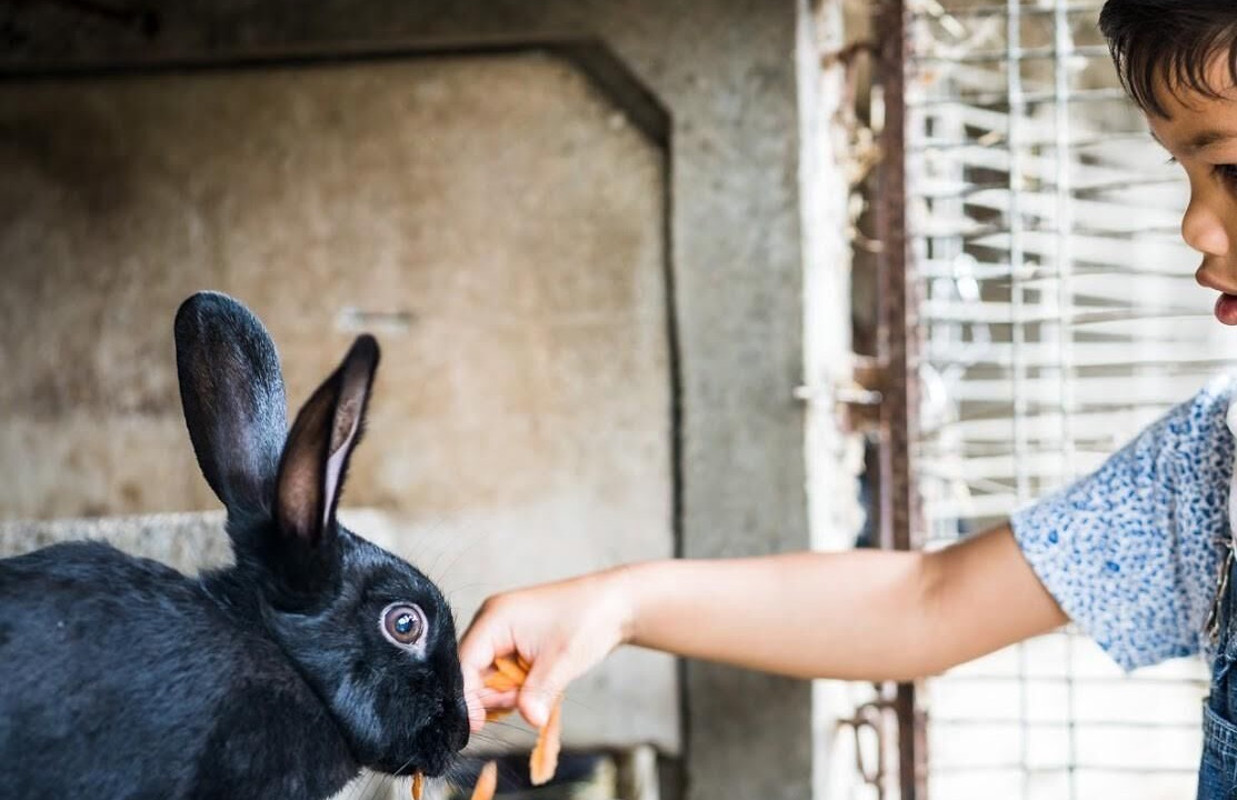 Photo of Others in Arette