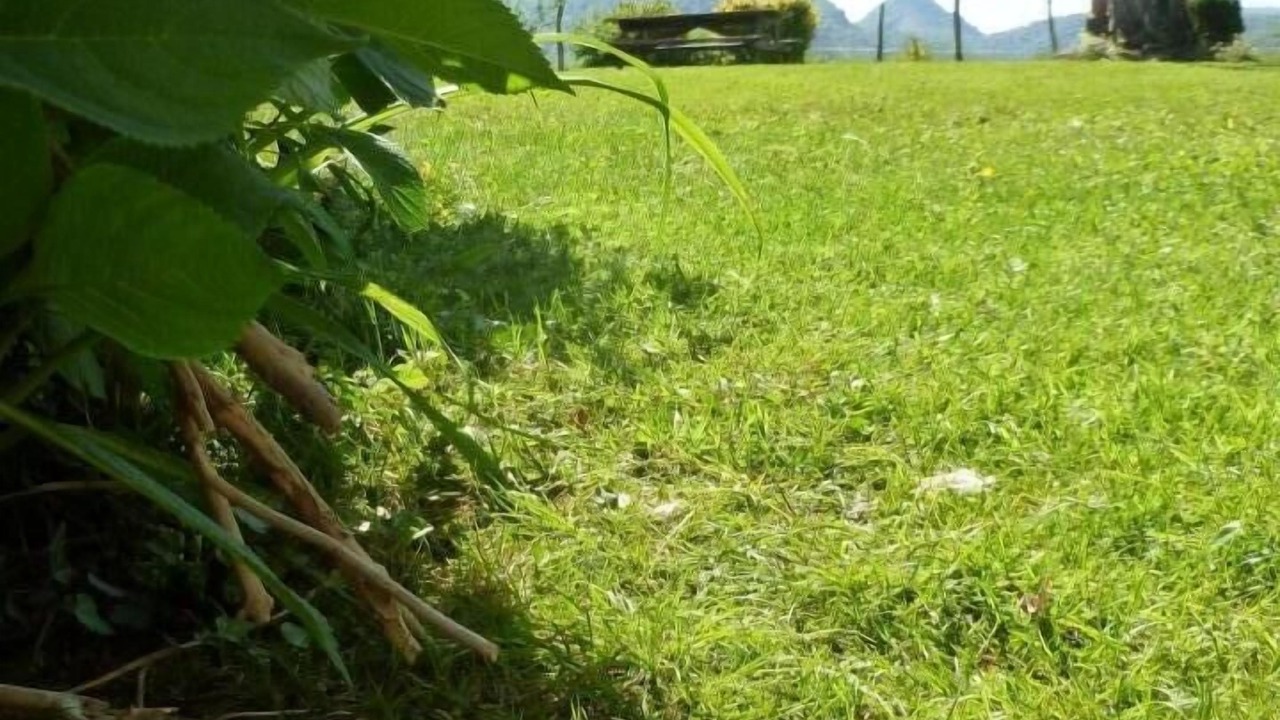 Photo of Outdoor in Arette