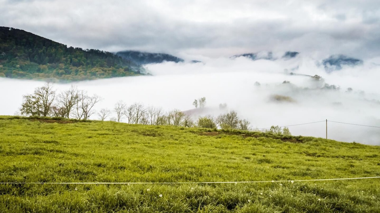 Photo of Others in Arette