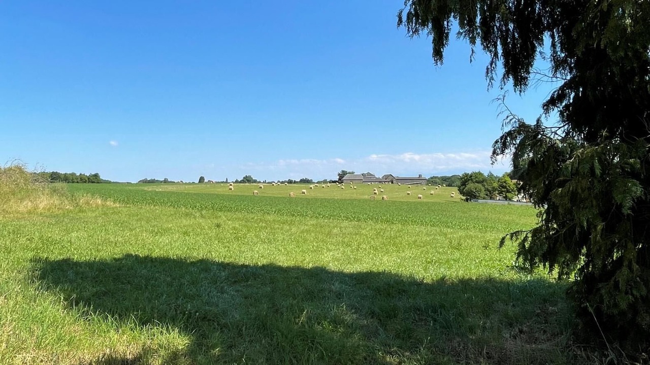 Photo of Others in Morlaas