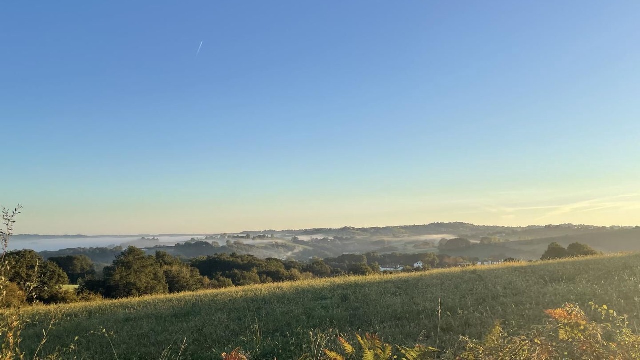 Photo of Others in Urt