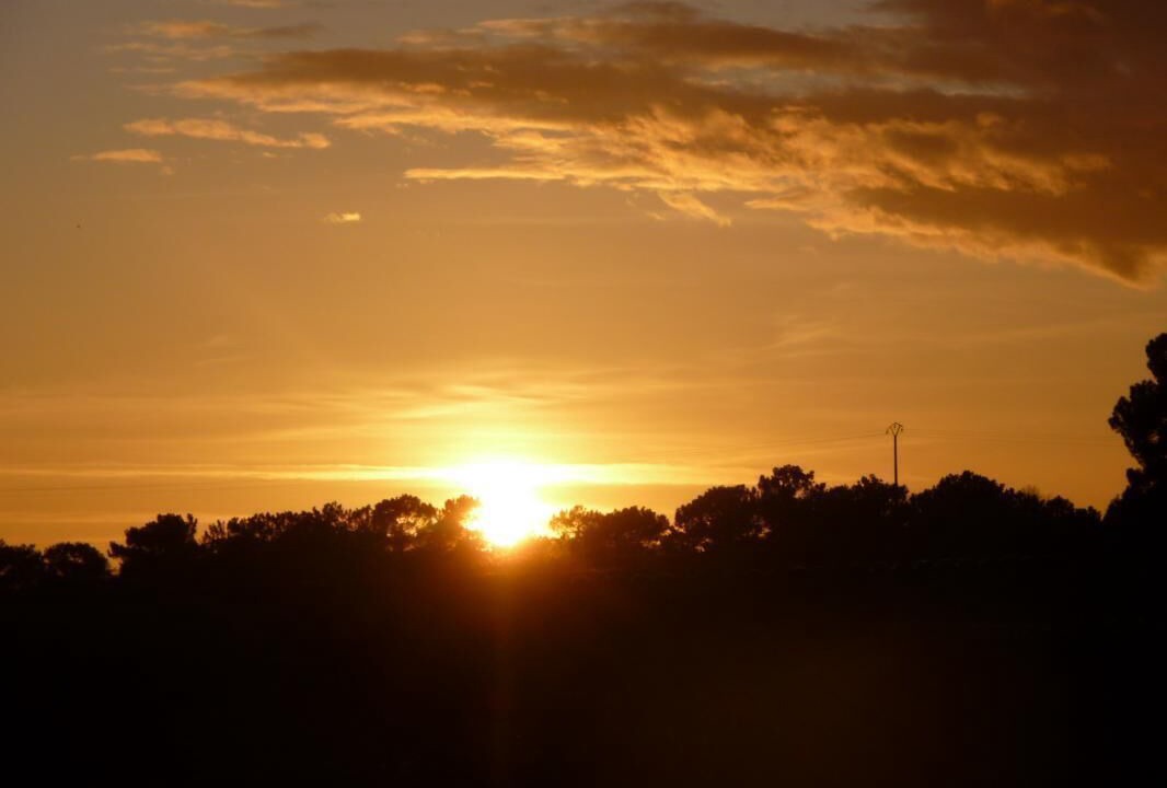 Photo of Others in Arbonne