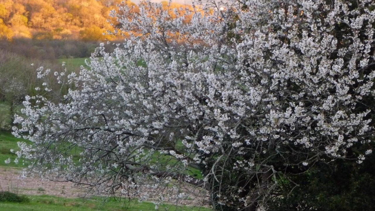 Photo of Outdoor in Arbonne