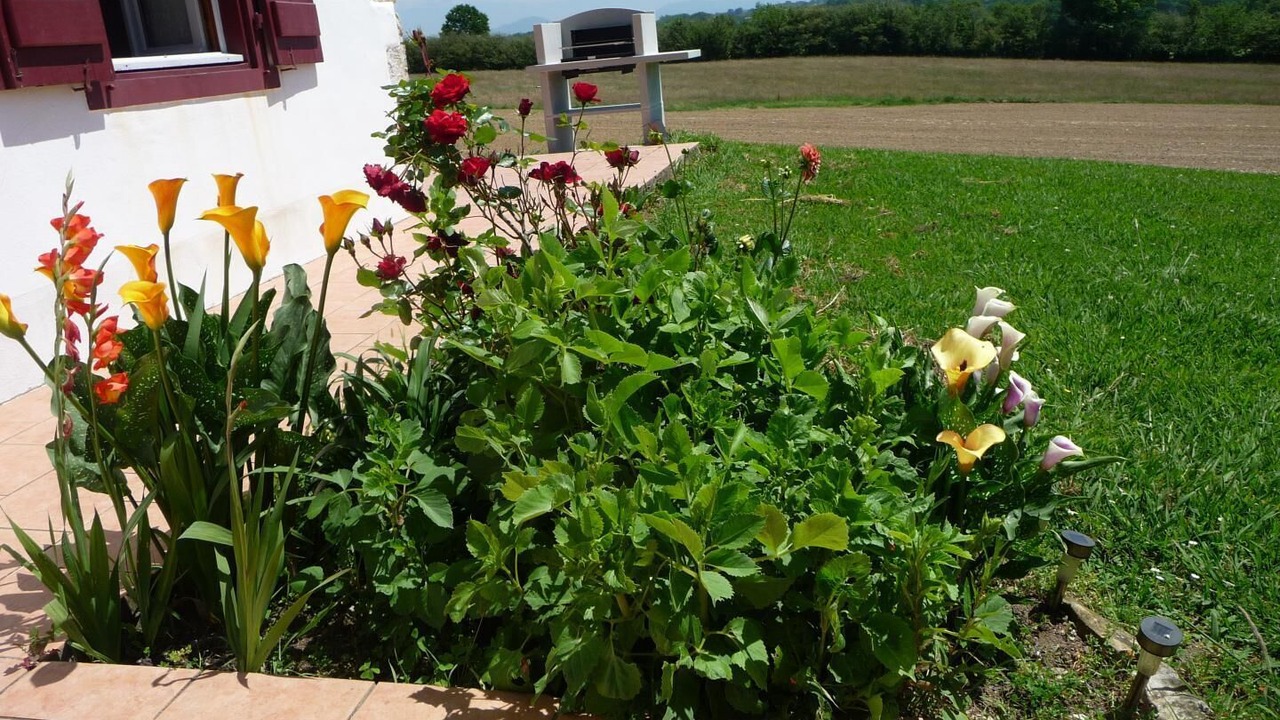 Photo of Outdoor in Arbonne
