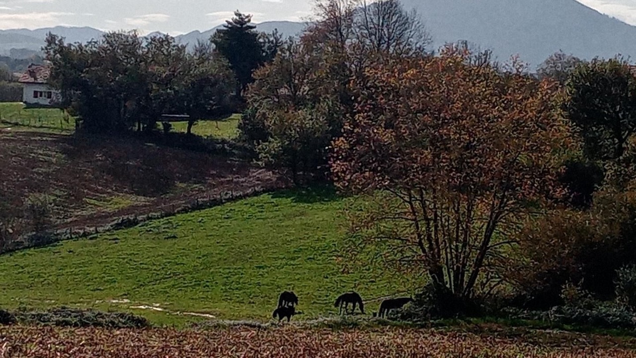 Photo of Others in Arbonne