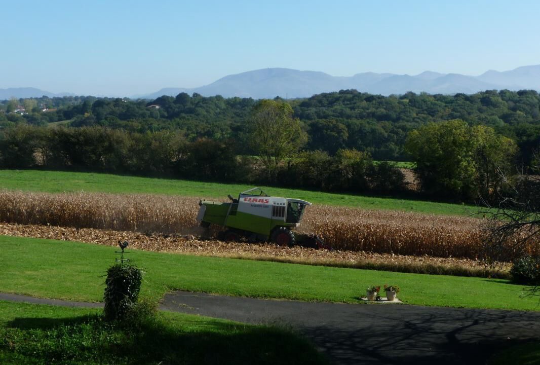 Photo of Outdoor in Arbonne