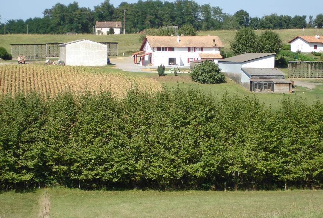 Photo of Outdoor in Arbonne