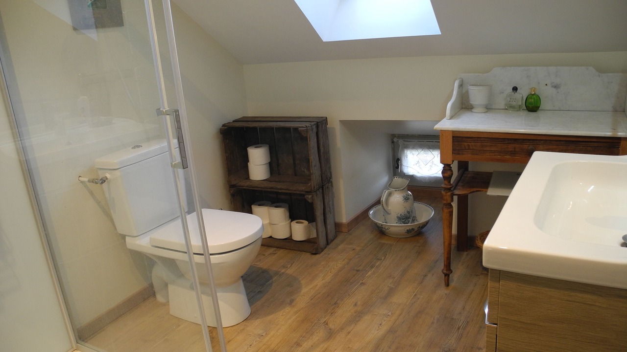 Photo of Bathroom in Saint-Romain