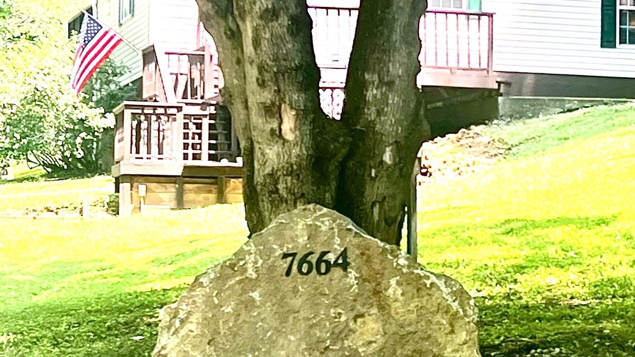 Photo of Outdoor in Bellevue