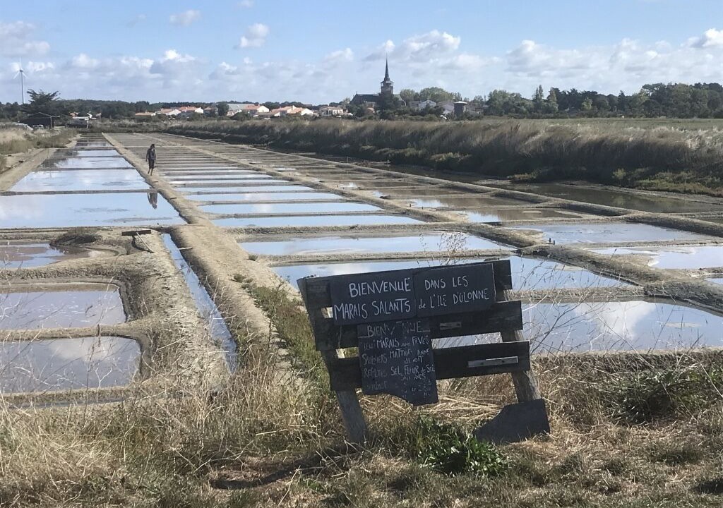 Photo of Others in Olonne-sur-Mer