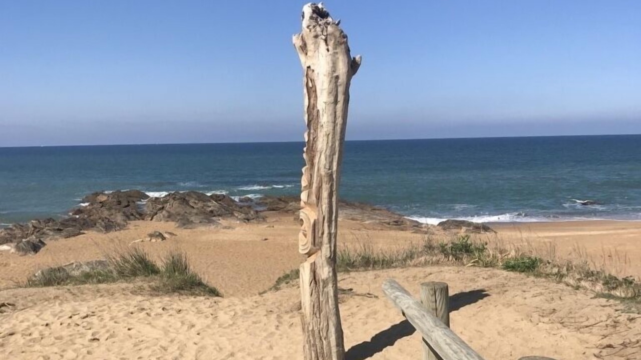 Photo of Others in Olonne-sur-Mer