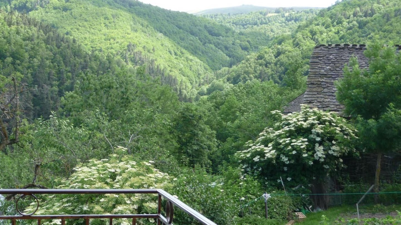 Photo of Outdoor in Mont Lozere et Goulet