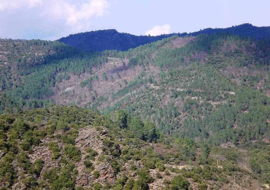 Photo of Others in Navas