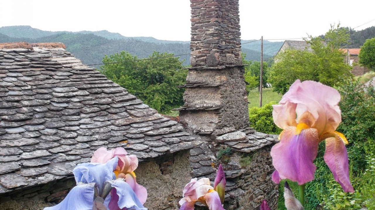 Photo of Outdoor in Navas