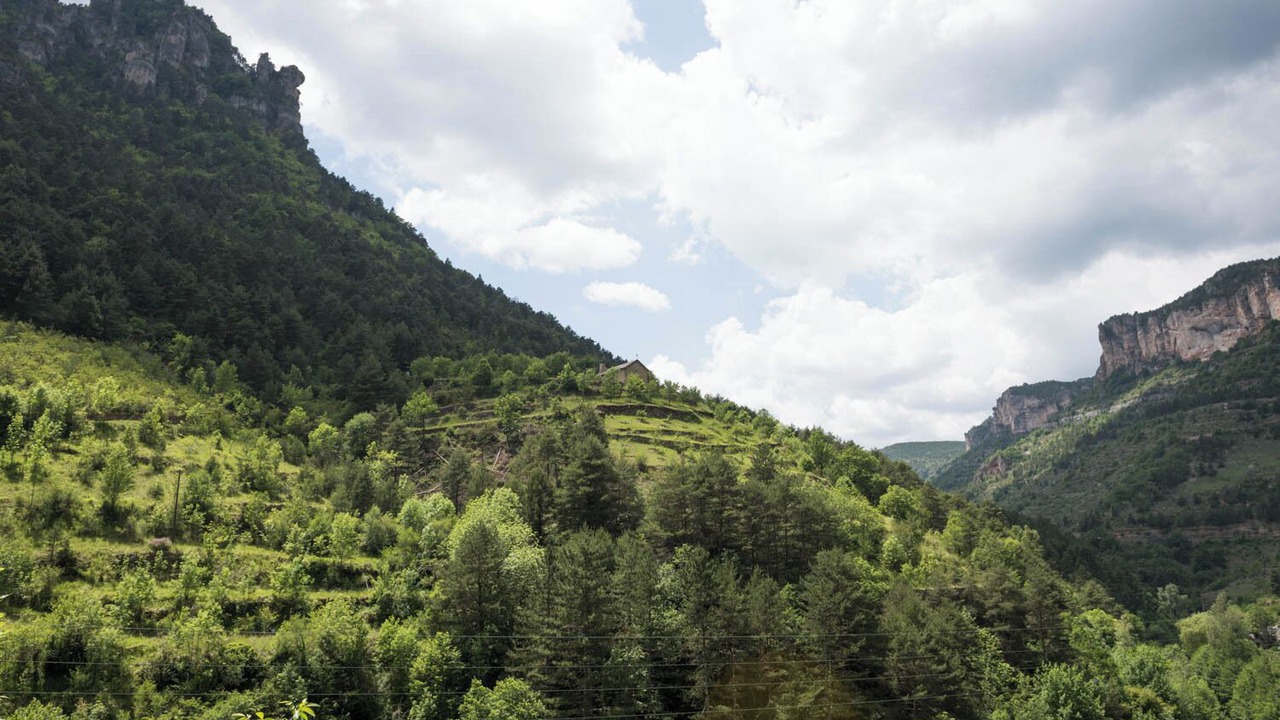Photo of Others in Saint-Pierre-des-Tripiers