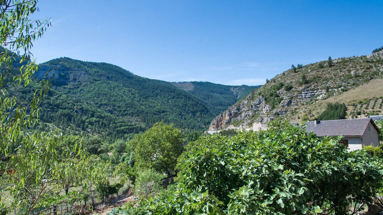 Photo of Others in Gorges du Tarn Causses