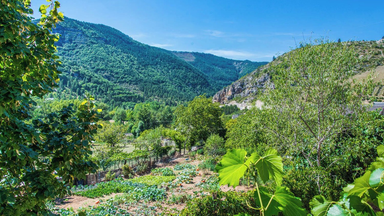 Photo of Others in Gorges du Tarn Causses