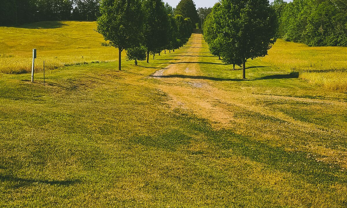 Photo of Outdoor in Farnham