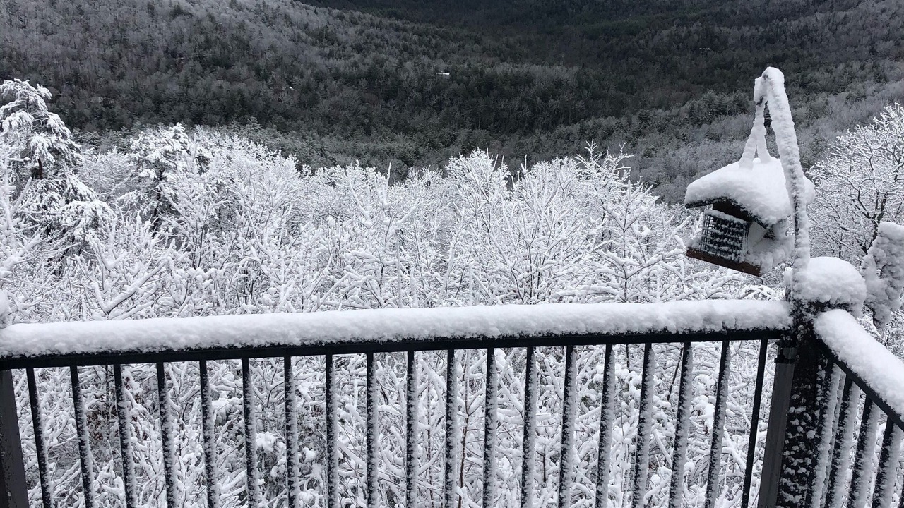 Photo of Outdoor in Purlear