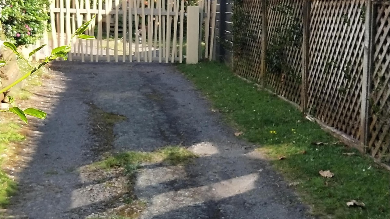 Photo of Outdoor in New Plymouth